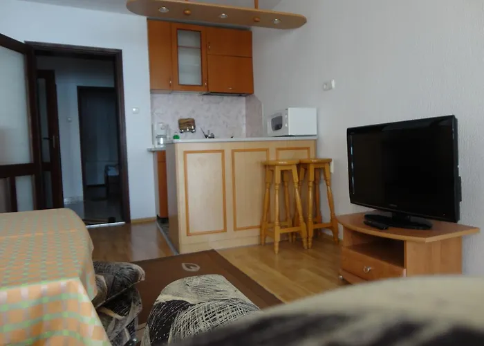 Anita نيسيبار